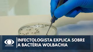 Infectologista explica sobre bactéria Wolbachia que pode impedir transmissão da dengue Canal Livre [upl. by Suoivatra556]