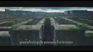 ตัวอย่าง The Maze Runner เมซรันเนอร์ วงกตมฤตยู Official Trailer HD ซับไทย [upl. by Dorthy]