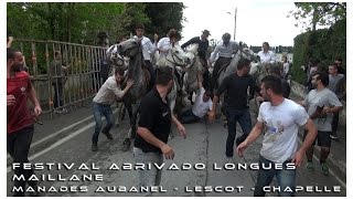 Festival Abrivado Longues Maillane 25042015 [upl. by Emerej98]