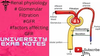 Glomerular FiltrationGFRfactor affecting GFRFiltration membrane [upl. by Sawyere]