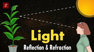 Light Reflection and Refraction Class 10 full chapter Animation  Class 10 Science Chapter 10 [upl. by Nuri]