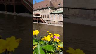 StrasbourgСтрасбург travel europe france shorts entertainment cute entertainment [upl. by Elexa]