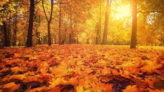 Autumn Days – Primary School Hymn [upl. by Lanette740]