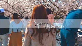 Amazing Spring in Korea Teaser  Koreas Cherry Blossom 🌸 [upl. by Imit466]