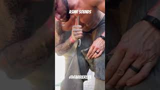 Farrier ASMR sounds oddlysatisfying asmr farrier horse animal [upl. by Ociredef]