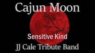 Sensitive Kind  By Cajun Moon 👓 JJ Cale Cover [upl. by Dinin328]