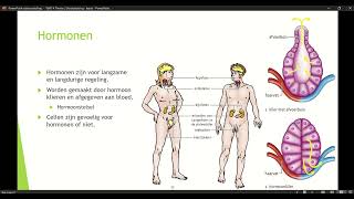 Klas 4 VWO Thema 2 Voortplanting amp seksualiteit basisstof 3 Hormonen deel 1 [upl. by Xylon94]