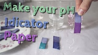 Make Your Own pH indicator paper with Red Cabbage juice [upl. by Etireuqram877]