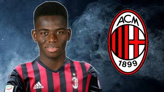 Ismaila Cheick Coulibaly ● Skills ● Goals ● Milan [upl. by Ariane]