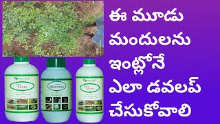 how to develop baveriya and metarhizium and verticillium lecanii at homeరైతు నేస్తం [upl. by Odille]