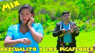 PASCUALITO Y LOS PICAFLORES  MIX LO MEJOR 2018 [upl. by Ratcliff]