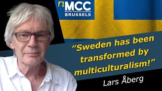 What happened to our country Sweden has been transformed by multiculturalism  Lars Åberg [upl. by Sivrahc360]