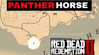 RDR2 One Panther Can Make Your Horse MORE Beautiful amp Powerful  Red Dead Redemption 2 [upl. by Bekelja]