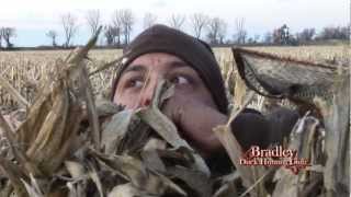 Bradley Duck Hunting Club  Late Season Mallards  Part II [upl. by Euqirdor]