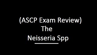 Neisseria spp ASCP Exam Review [upl. by Calia768]