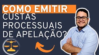 COMO EMITIR AS CUSTAS PROCESSUAIS DE RECURSO DE APELAÃ‡ÃƒO PREPARO RECURSAL TJSP [upl. by Euqnomod594]