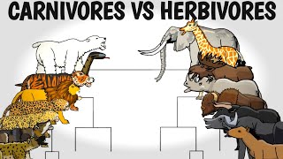 CARNIVORES VS HERBIVORES TOURNAMENT  ANIMATION [upl. by Noerb]