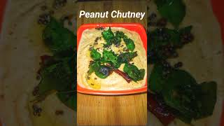 Peanut Chutney  How to make Peanut Chutney  Mumphali ki Chatni  Peanut Chutney for Dosa  shorts [upl. by Nekal]