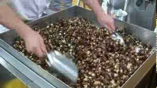 How to Make Chocolate Caramel Corn [upl. by Teodora]