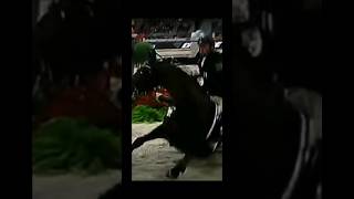 RIP Hickstead🕊legendshortsfypviralvideo edithorsedeathsad [upl. by Latimer]