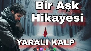 YARALI KALP  Aşk Hikayesi  Sesli Kitap  Kısa Hikayeler Sesli Hikayeler  Podcast Hikaye keşfet [upl. by Nonnair]