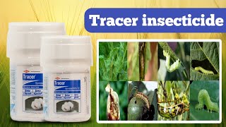 Tracer insecticide dow agro  डाऊ एग्रो सायन्स ट्रेसर स्पिनोसैड 45 एससी कीटनाशक  किमत डोज [upl. by Brenda157]