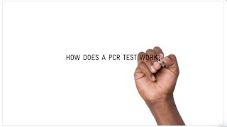 How does a COVID19 PCR test work [upl. by Alegna]