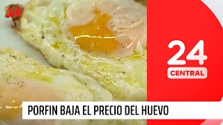 Por fin baja el precio del huevo  24 Horas TVN Chile [upl. by Ylrebnik672]