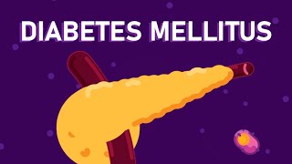 What is Diabetes Mellitus  Understanding Diabetes  Diabetes Type 1 and Type 2 [upl. by Felicio]