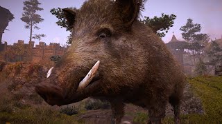 How to Get Wild Boar Tusks Boar Location Assassins Creed Valhalla [upl. by Yelruc]