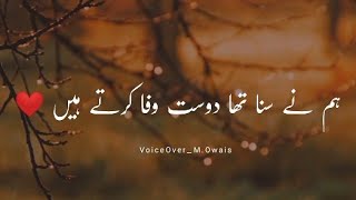 Hum Nay Suna Tha Dost Wafa Karte Hain  Sad Shero Shayari Painfull Status [upl. by Wilbur]