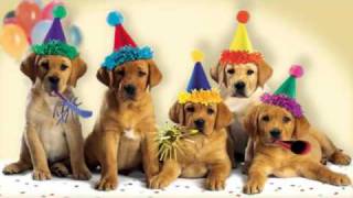 Cute Dogs Bark the quotHappy Birthdayquot Song [upl. by Odlaniger]