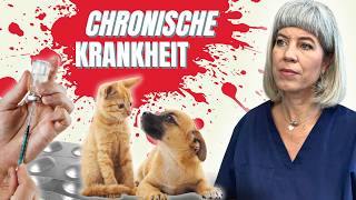 🐕🐈 CHRONISCHE KRANKHEIT bei meinem Tier loswerden  Ganzheitliche Tiergesundheit [upl. by Yrevi]