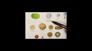 Virus vs Bacteria by Ghayas sir reels viralvideo video study viralshort motivation medical [upl. by Sinnek]