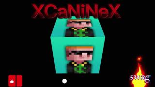 Melon Smp The Empire Of XCaNiNeX [upl. by Draned79]