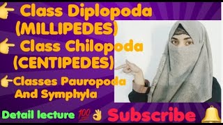 Class Diplopoda MILLIPEDES Class Chilopoda CENTIPEDES Classes Pauropoda And Symphyla [upl. by Enitsirhk]