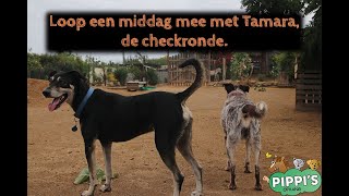 Checkronde lopen met Tamara [upl. by Maryly325]