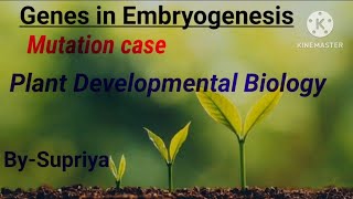 Genes in embryogenesis  Plant developmental Biology  csirnet life science  Dec 2023 [upl. by Arrait]