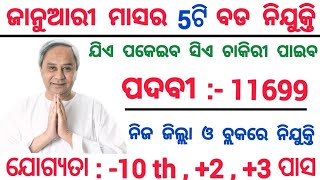 January Month Top Odisha Government Jobs 2024  Odisha Government Jobs 2024  Odisha Jobs [upl. by Einnahpets741]