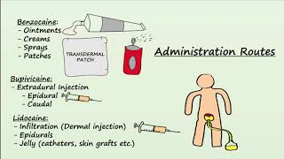 Local Anesthetics  Mechanism Indications amp Side Effects [upl. by Kloster]