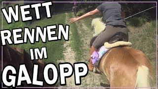 Wettrennen im Galopp ✮✮✮✮✮ [upl. by Haldi]