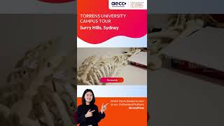 Torrens University Campus Tour  Nursing Lab  Surry Hills Campus Sydney [upl. by Eceined]