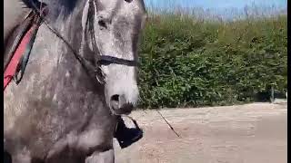 Methven equine centre [upl. by Darnall]