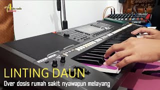 LINTING DAUN  Karaoke Tanpa Kendang  aZkia naDa  Pak Takin Audio [upl. by Notrem769]