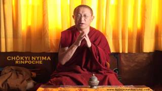 • CHÖKYI NYIMA RINPOCHE • CALM CLEAR KIND • [upl. by Kcim]