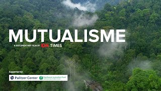 MUTUALISME  Film Dokumenter Imbal Balik Hutan Hujan Tropis dan Manusia [upl. by Venetia601]