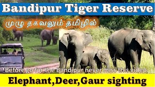 Bandipur Tiger Reserve Tamil  Bandipur Jungle Safari full details  Animal SightingSafari Booking [upl. by Savory]