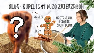 OSTATNI Vlog PRZED VLOGMASEM 🎅🏼🌲 Przepis na PIERNIK Dojrzewający  Kupiliśmy NOWE Zwierzęta 🦌 [upl. by Aldercy]