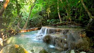 10 Hours Small Waterfall in the forest Relaxing Nature Sounds Waterfall White Noise for Sleeping [upl. by Dihgirb850]