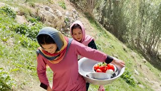 Afghanistans remote villages work and daily life there [upl. by Arehs834]